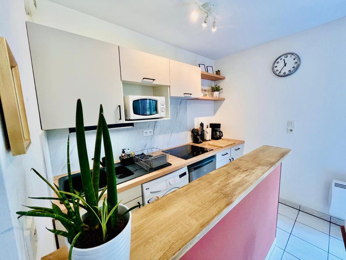 Le Briantais Appartement *